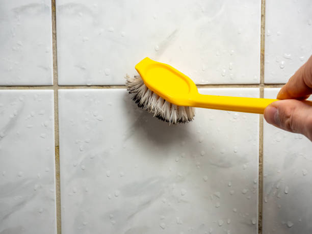 Best Attic Mold Removal  in Valley Park, MO