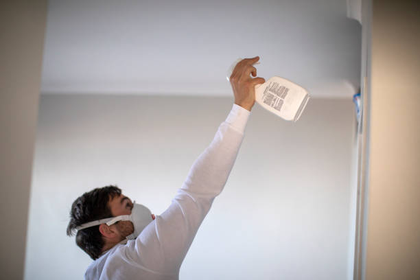 Best Fast Mold Removal  in Valley Park, MO